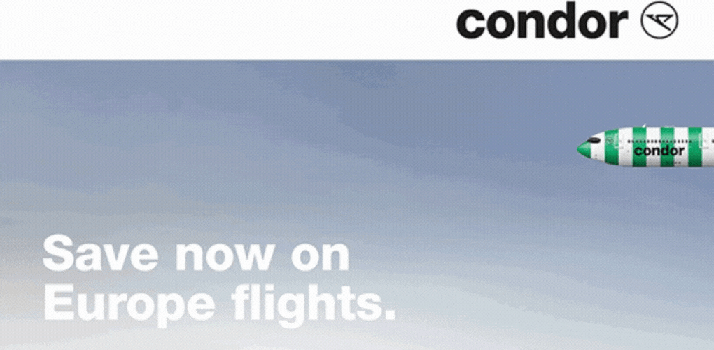 condor-gif-image