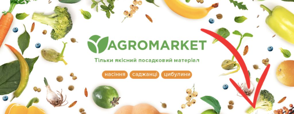 AgroMarket